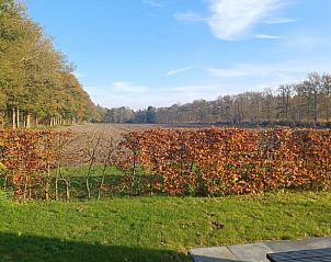 Guest house 204113 - Holiday property Zuidwest Drenthe - Huisje in Hollandscheveld