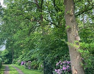 Guest house 204113 - Holiday property Zuidwest Drenthe - Huisje in Hollandscheveld