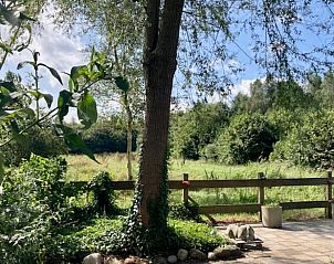 Guest house 204114 - Holiday property Zuidwest Drenthe - Huisje in Hollandscheveld