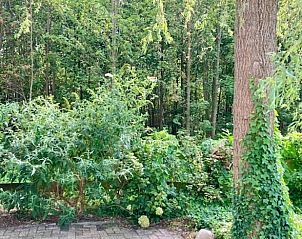 Guest house 204114 - Holiday property Zuidwest Drenthe - Huisje in Hollandscheveld