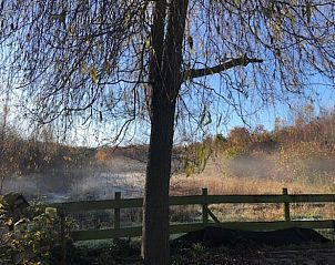Guest house 204114 - Holiday property Zuidwest Drenthe - Huisje in Hollandscheveld