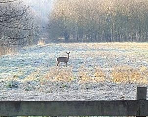 Guest house 204114 - Holiday property Zuidwest Drenthe - Huisje in Hollandscheveld