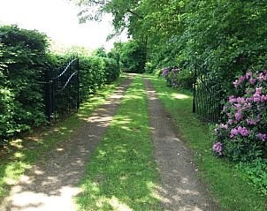 Guest house 204115 - Holiday property Zuidwest Drenthe - Vakantiehuisje in Hollandscheveld