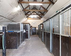 Guest house 204406 - Holiday property Zuidwest Drenthe - Huisje in Hoogeveen