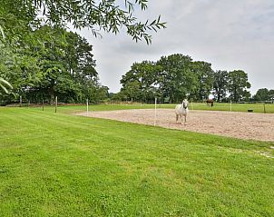 Guest house 204406 - Holiday property Zuidwest Drenthe - Huisje in Hoogeveen