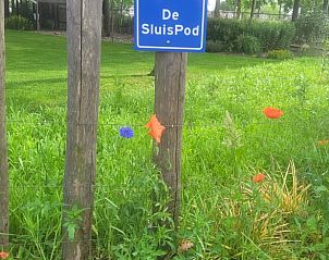 Guest house 204408 - Holiday property Zuidwest Drenthe - Vakantiehuis in Hoogeveen