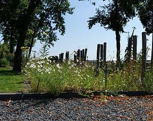 Guest house 204408 - Holiday property Zuidwest Drenthe - Vakantiehuis in Hoogeveen