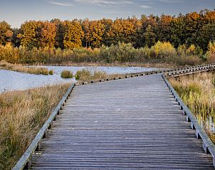 Verblijf 204409 - Vakantiewoning Zuidwest Drenthe - DG2117
