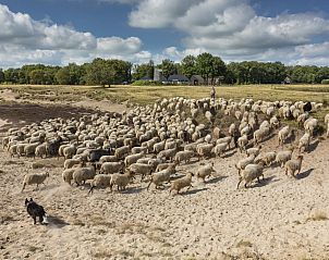 Verblijf 204409 - Vakantiewoning Zuidwest Drenthe - DG2117