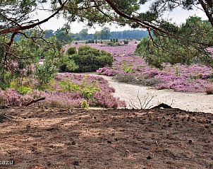 Verblijf 204409 - Vakantiewoning Zuidwest Drenthe - DG2117