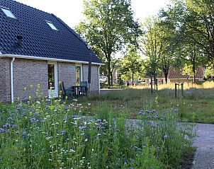 Guest house 204901 - Apartment Zuidwest Drenthe - Vakantiehuis Darp