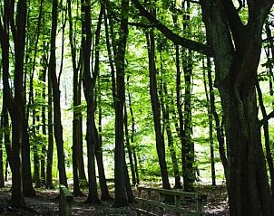 Verblijf 206803 - Vakantie appartement Noordzeekust - Hotel Kuiperduin