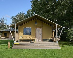 Guest house 2101142 • Holiday property Oostelijk Flevoland • Safaritent Wood | 4-6 Personen 