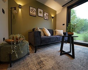 Stijlvolle woonkamer in Chalet in Biddinghuizen, vakantiehuis in Flevoland met comfortabele bank en decoratie.