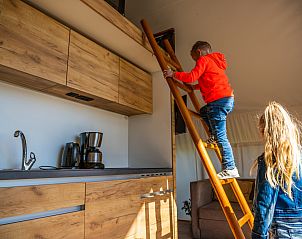 Guest house 2101165 - Tent house Oostelijk Flevoland - Glampingtent Beachfront Luxe