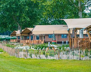 Guest house 2101202 - Tent house Oostelijk Flevoland - Lodgetent Haven 4