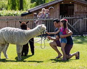 Unterkunft 2101225 - Ferienhaus Oostelijk Flevoland - Vakantiehuis Velthorst 4