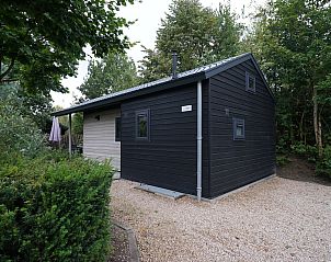 Achteraanzicht van Chalet in Biddinghuizen, vakantiehuis omringd door bomen in Flevoland.