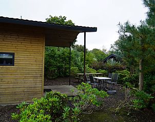 Terras van Chalet in Biddinghuizen, omgeven door natuur in Oostelijk Flevoland, Flevoland.