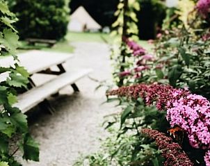 Blooming flowers and picnic area at cottage in Rutten, Eastern Flevoland, for colorful surroundings.