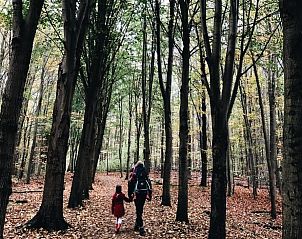 Hiking through the woods near Holiday home in Rutten, Eastern Flevoland, for nature adventures.