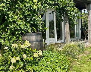 Terrace of Holiday home in Kraggenburg with flowering plants in Flevoland.