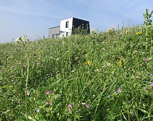 Verblijf 210505 - Vakantiewoning Oostelijk Flevoland - Huisje in Kraggenburg