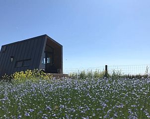 Verblijf 210505 - Vakantiewoning Oostelijk Flevoland - Huisje in Kraggenburg