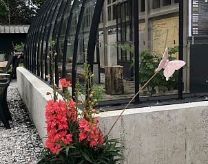 Flowering garden at Holiday home in Kraggenburg with modern conservatory in Eastern Flevoland.