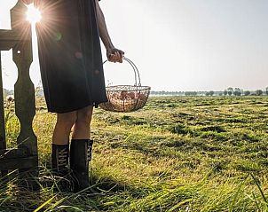 Explore the nature surrounding Holiday Home in Kraggenburg, a perfect base in Eastern Flevoland.