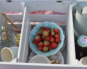 Delicious strawberries for breakfast at Holiday Home in Kraggenburg, taste the fresh produce of Eastern Flevoland.