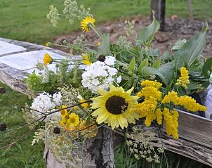 Beautiful flowers at Holiday Home in Kraggenburg, a colorful addition to your stay in Eastern Flevoland.