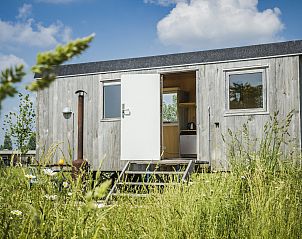 Unterkunft 210517 - Ferienhaus Oostelijk Flevoland - Pipowagen