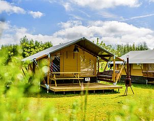 Unterkunft 210522 - Zelthaus Oostelijk Flevoland - Lodge Stuga - UFO