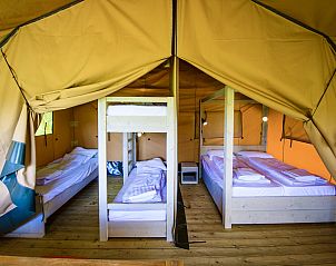 Unterkunft 210527 - Zelthaus Oostelijk Flevoland - Lodge Waku - UFO