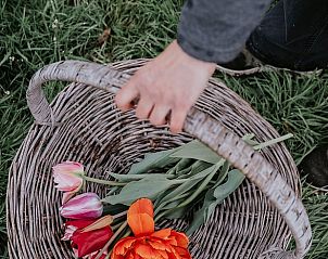 Unterkunft 210529 - Ferienhaus Oostelijk Flevoland - Vakantiehuisje in Kraggenburg