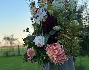 Unterkunft 210529 - Ferienhaus Oostelijk Flevoland - Vakantiehuisje in Kraggenburg