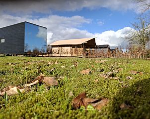 Guest house 210631 - Holiday property Oostelijk Flevoland - Tiny house met spiegelgevel