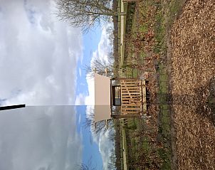 Guest house 210631 - Holiday property Oostelijk Flevoland - Tiny house met spiegelgevel