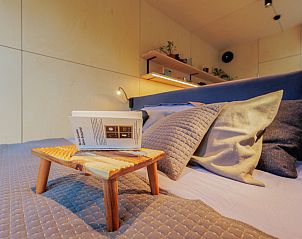 Guest house 210631 - Holiday property Oostelijk Flevoland - Tiny house met spiegelgevel