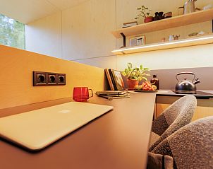 Guest house 210631 - Holiday property Oostelijk Flevoland - Tiny house met spiegelgevel