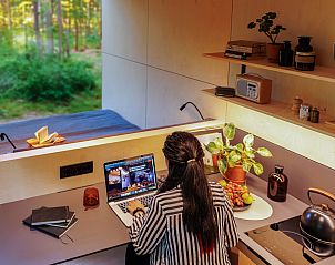 Guest house 210631 - Holiday property Oostelijk Flevoland - Tiny house met spiegelgevel