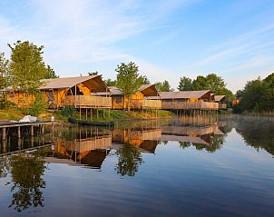 Guest house 210639 • Tent house Oostelijk Flevoland • Comfortabele glamping tent 