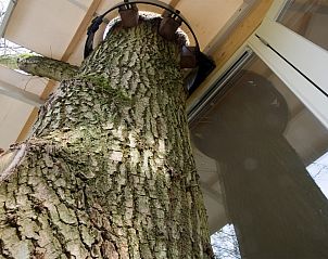 Unterkunft 210721 - Ferienhaus Oostelijk Flevoland - Boomhut Family