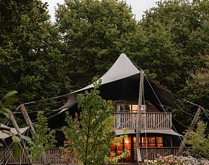 Unterkunft 2202119 - Zelthaus Zuidelijk Flevoland - Glamping tent Hacienda