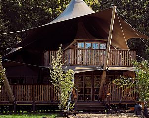 Unterkunft 2202119 - Zelthaus Zuidelijk Flevoland - Glamping tent Hacienda