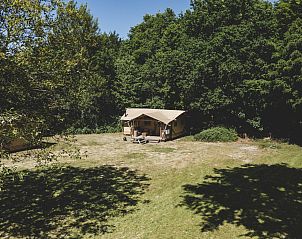 Verblijf 2202140 - Tenthuis Zuidelijk Flevoland - Glamping tent La Vida
