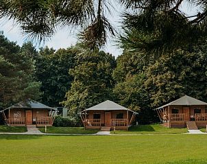 Verblijf 2202170 - Vakantiewoning Zuidelijk Flevoland - Vakantiehuis De Glamping - Trio Lodge | 18p