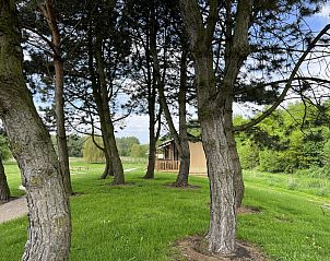 Verblijf 2202172 - Vakantiewoning Zuidelijk Flevoland - Vakantiehuis De Glamping - Sunny Lodge | 6p