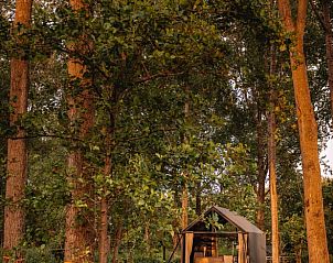 Verblijf 220242 - Vakantiewoning Zuidelijk Flevoland - Huisje in Zeewolde